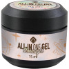 105102 ALL IN ONE GEL MOONLIGHT TPO FREE 15ml