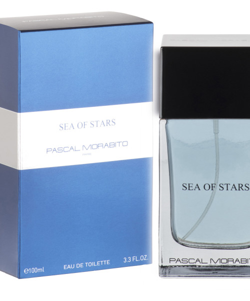 SEA OF STARS EDT HOMME 100ml