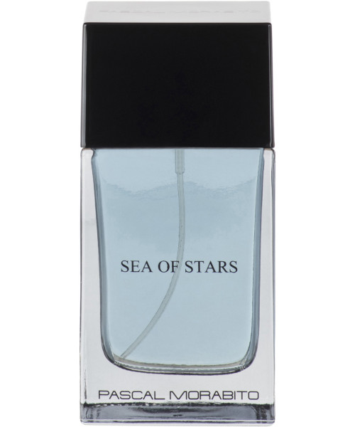SEA OF STARS EDT HOMME 100ml