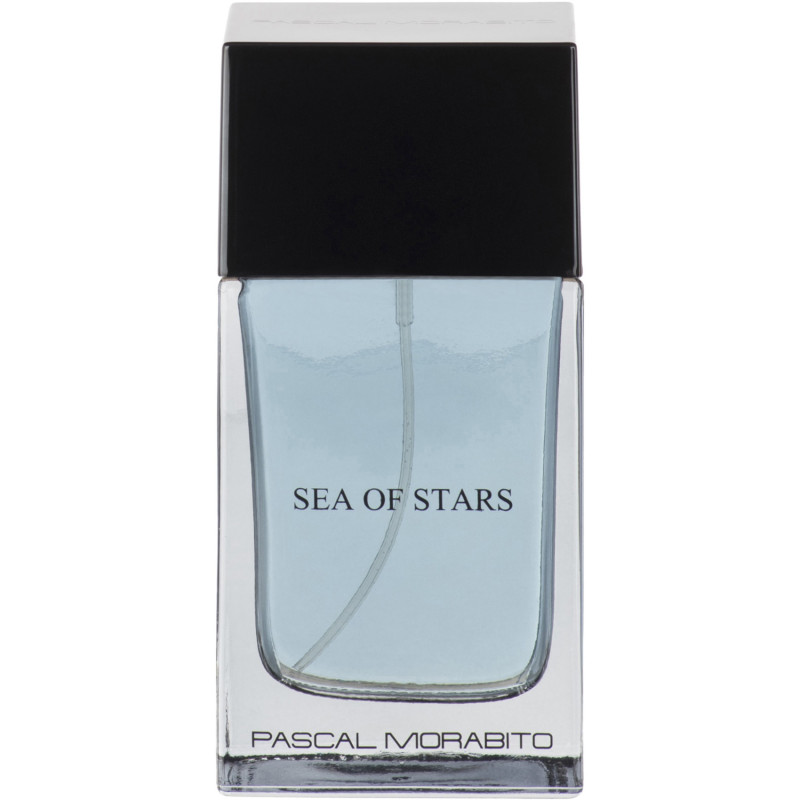 SEA OF STARS EDT HOMME 100ml