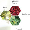 PURE ESSENCE EDT HOMME 100ml