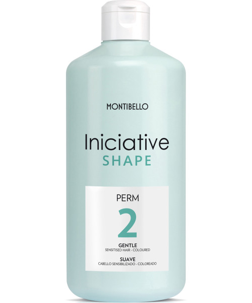 ΚΡΕΜΑ ΓΙΑ ΠΕΡΜΑΝΑΝΤ INICIATIVE TYPE 2 500ml