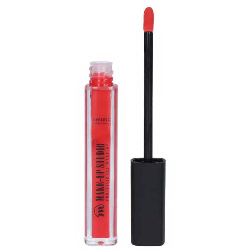 LIPGLOSS PAINT RED LIPS 4.5ml