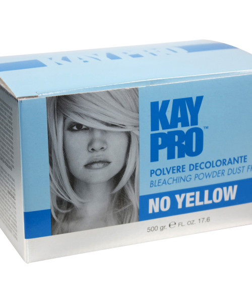 KAYPRO BLEACHING POWDER DUST FREE 500g