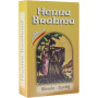 BRAHMA HENNA ΞΑΝΘΗ 75g