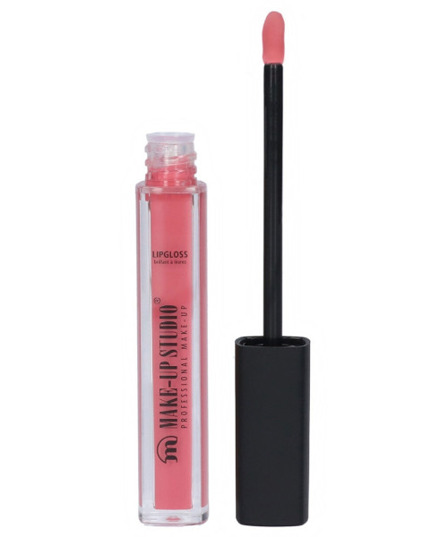 LIPGLOSS PAINT PINK SEDUCTION 4.5ml