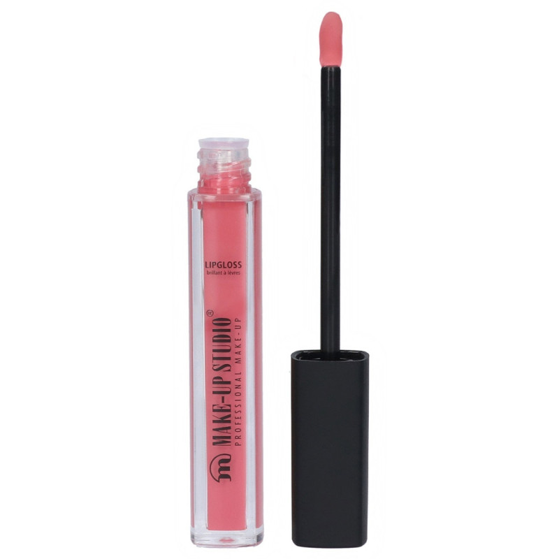 LIPGLOSS PAINT PINK SEDUCTION 4.5ml