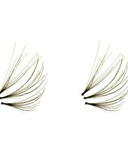 PH0402 BLACK LARGE INDIVIDUAL EYELASHES