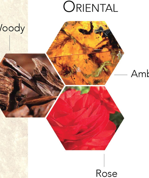 GOLD EDITION OUD EDT ΗΟΜΜΕ 100ml