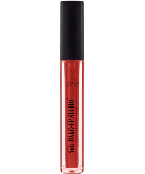 LIPGLOSS PAINT ROSEWOOD 4.5ml