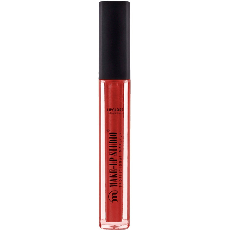 LIPGLOSS PAINT ROSEWOOD 4.5ml
