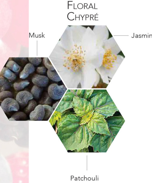 ONLY LOVE EDP FEMME 100ml