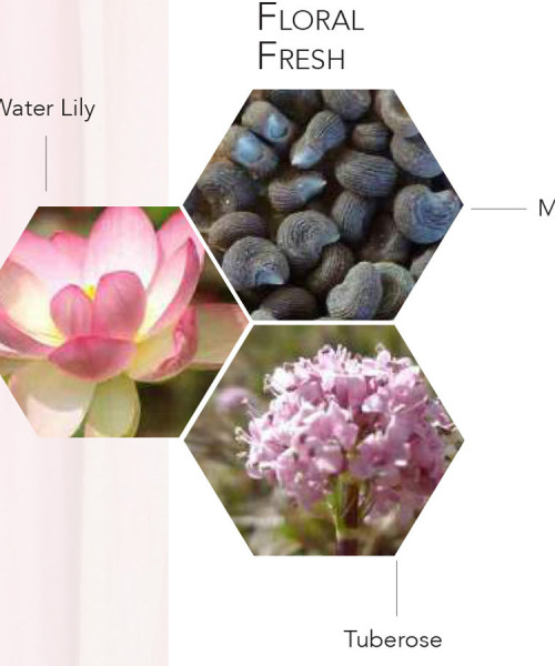 PERPLE PRECIEUSE EDP FEMME 100ml