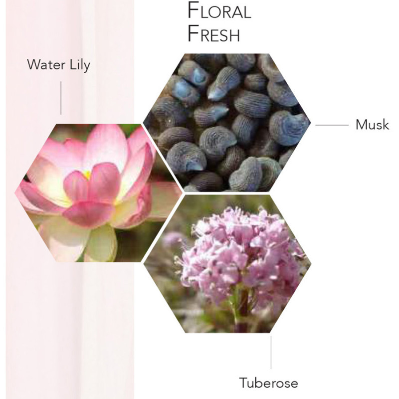 PERPLE PRECIEUSE EDP FEMME 100ml