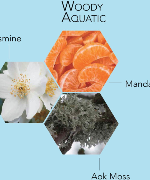 MEDITERRANEE EDT HOMME 100ml