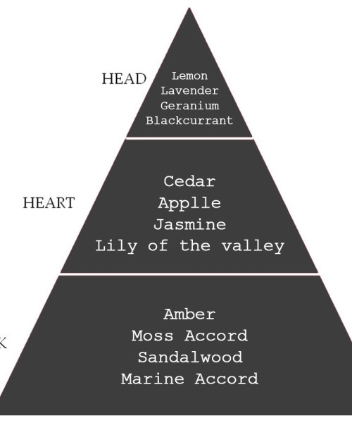 PRIVATE GREY EDP HOMME 100ml