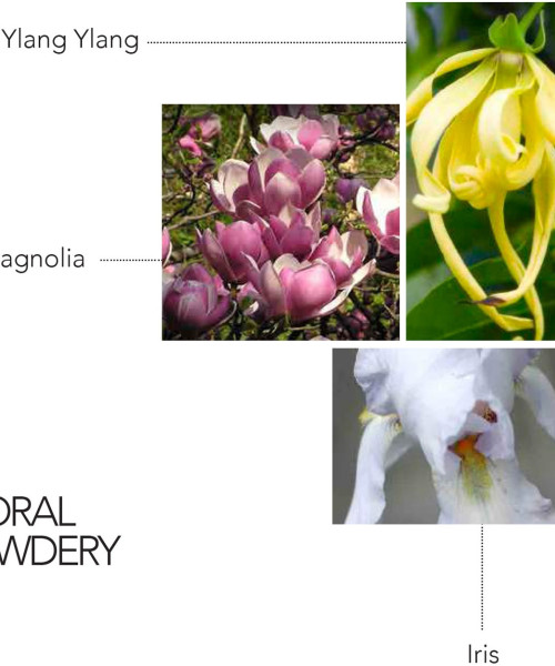 MUSE BLANCHE EDP 100ml