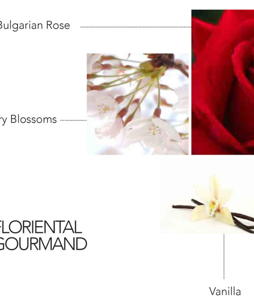 MUSE DU SOIR EDP 100ml