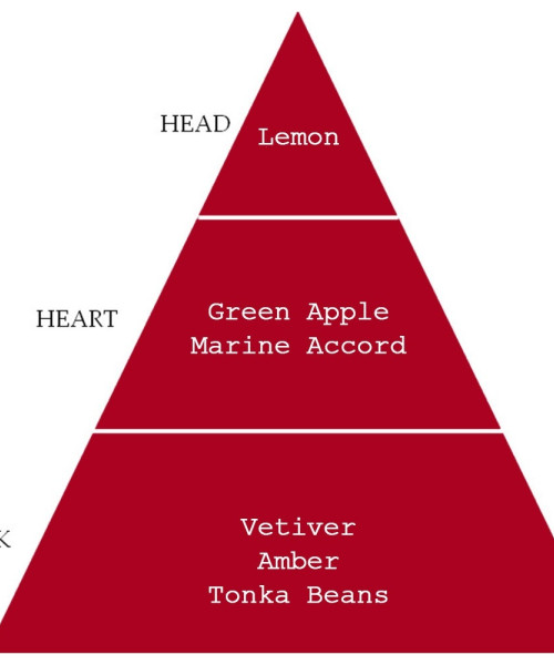 PRIVATE RED EDP HOMME 100ml