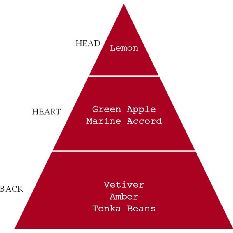 PRIVATE RED EDP HOMME 100ml