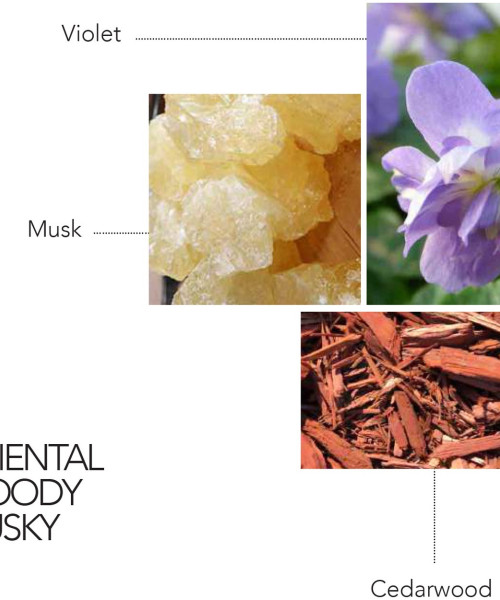 MUSE POUDRE EDP FEMME 100ml