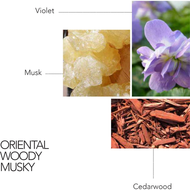 MUSE POUDRE EDP FEMME 100ml