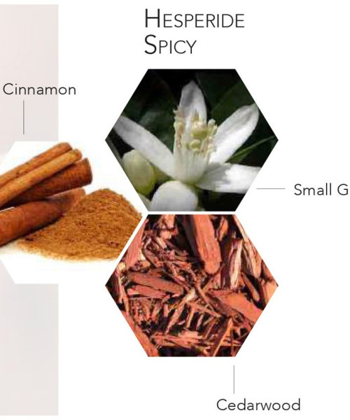 BOIS ET VETIVER EDT HOMME 200ml