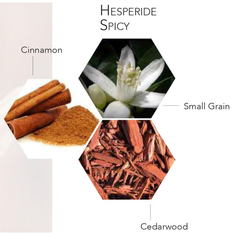 BOIS ET VETIVER EDT HOMME 200ml