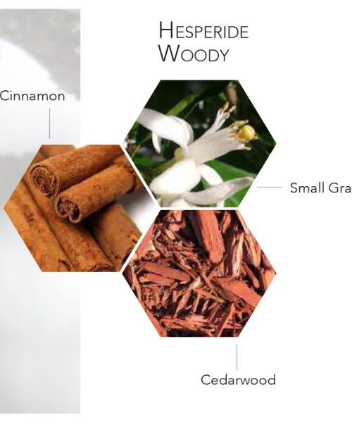 SEA OF STARS EDT HOMME 100ml