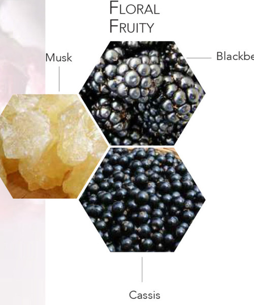 BEAUTIFUL GIRL EDP FEMME 100ml