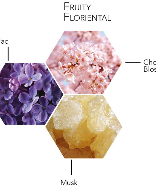 WILD LOVE FRAGAN.MIST 200ml