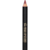 LIP LINER PENCIL No14