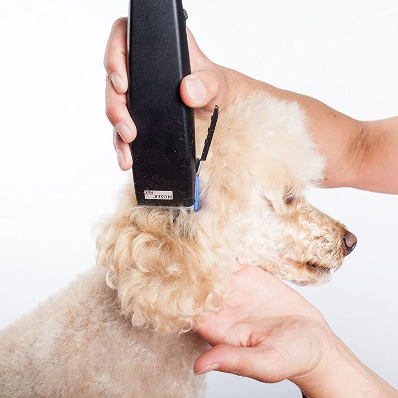 MOSER 1230 REX ΜΗΧANH ΚΟΥΡΕΜΑΤΟΣ ΓΙΑ ΣΚΥΛΟΥΣ