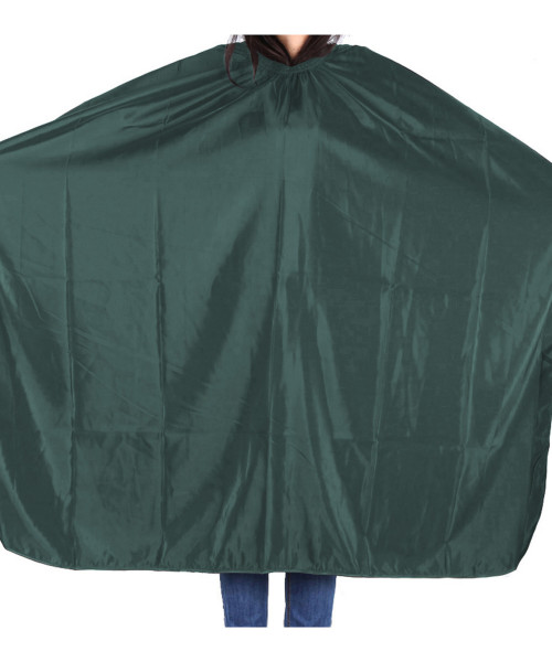 ΔΑΦΝΗΣ ΜΠΕΡΤΑ ΚΟΥΡΕΜΑΤΟΣ ΠΕΤΡΟΛ