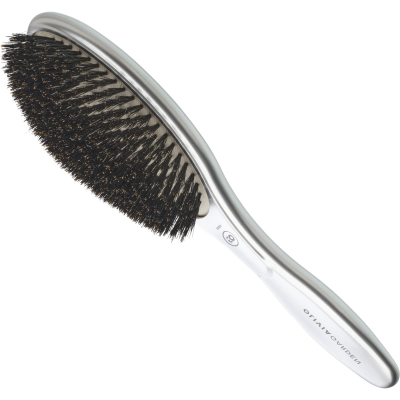 ΒΟΥΡΤΣΑ EXPERT CARE OVAL BOAR SILVER