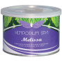 HEMPORIUM ΚΕΡΙ ΑΠΟΤΡΙΧΩΣΗΣ MELISSA 400ml