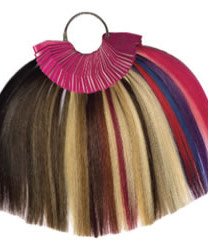 ΧΡΩΜΑΤΟΛΟΓΙΟ ΦΥΣΙΚΟ