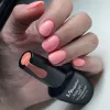 SC 964 - SKU 102964