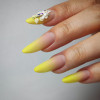 HS 09 - SKU 104109