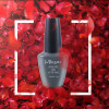 TOP COAT NON WIPE 15ML- Mixcoco
