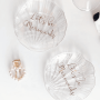 UNICORN SHELL - SKU 260830