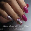 WS 481 - SKU 101481