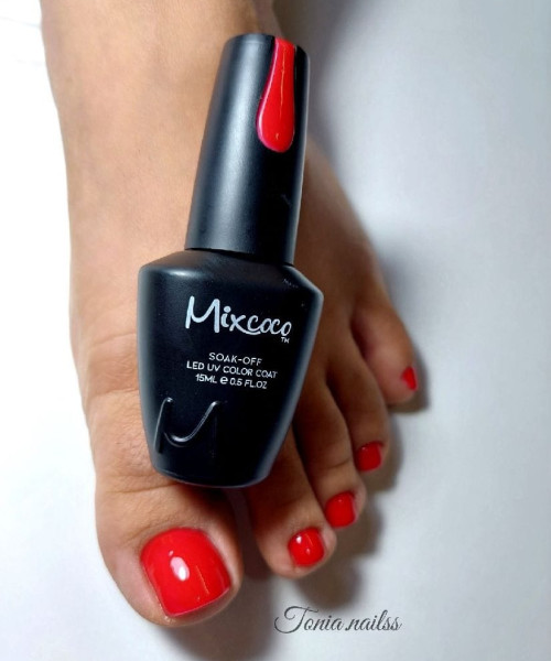 ΒΕΡΝΙΚΙ MIXCOCO SMC 008- Mixcoco