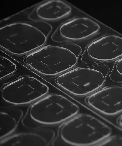 ΑΥΤΟΚΟΛΛΗΤΑ 2ΠΛΗΣ ΟΨΕΩΣ ΓΙΑ PRESS ONS- Mixcoco