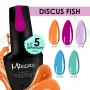 KIT ΒΕΡΝΙΚΙΩΝ MIXCOCO DISCUS FISH - SKU 151000-09
