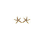 Σκουλαρίκια αυτιών αστερίας full strass 24mm